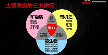 空談資源,沒有核心技術(shù)的企業(yè)注定被邊緣化